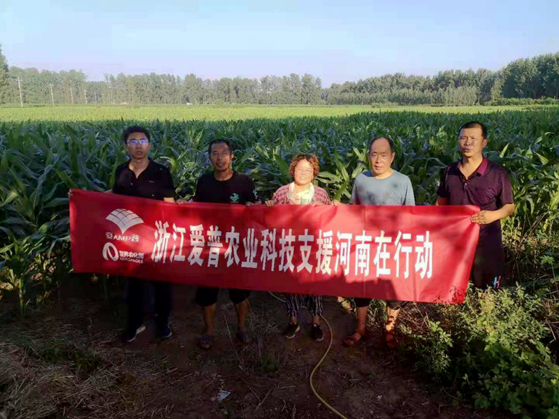 愛普科技助力&ldquo;糧倉&rdquo;河南災后恢復