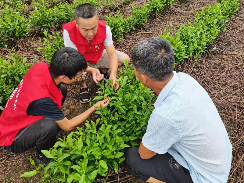 1630029941762515.jpg 6e5e51be-152f-4175-942e-ba2ba873b53a(1)_副本.jpg