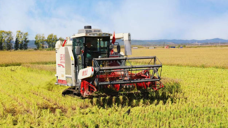 浙農金泰助力&ldquo;寒地水稻綠色種植&rdquo;項目百畝示范工作
