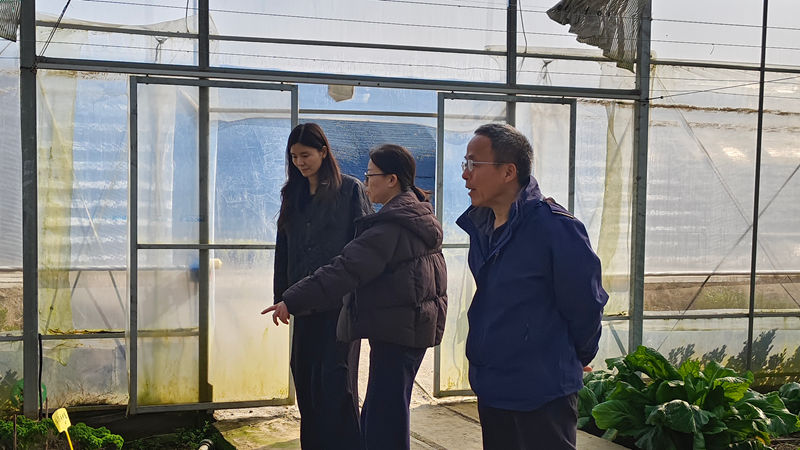 之豇種業(yè)開(kāi)展春節(jié)前安全生產(chǎn)專(zhuān)項(xiàng)檢查